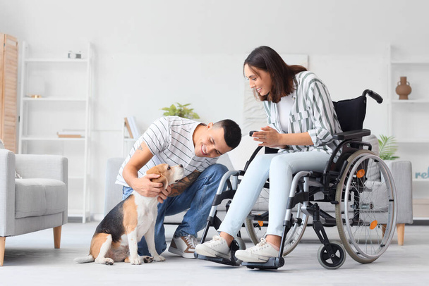 Młody mężczyzna i jego żona na wózku inwalidzkim z psem Beagle w domu - Zdjęcie, obraz