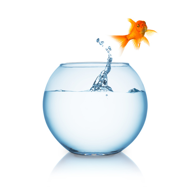 goldfish jumps out of a fishbowl - Photo, Image