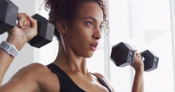 女性, 呼吸とフィットネス, 重量挙げと筋肉トレーニングのためのダンベル, ボディービルのためのジムで健康. 強く,金属装置および強さのための運動,ボディービルダーおよび運動が付いている健康. - 映像、動画