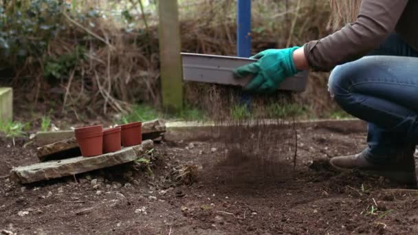 Puutarhuri seulonta maaperän maaperän seulan kasvien keskipitkän hidastettuna 4k laukaus valikoiva painopiste - Materiaali, video