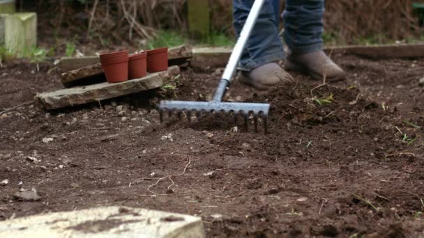 Jardineiro preparando solo com ancinho para plantas em crescimento médio 4k câmera lenta tiro foco seletivo - Filmagem, Vídeo