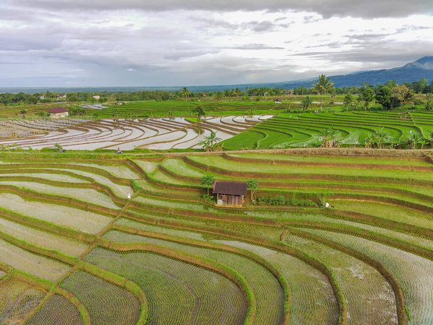 Beautiful morning view indonesia Panorama Landscape paddy fields with beauty color and sky natural light - Fotografie, Obrázek