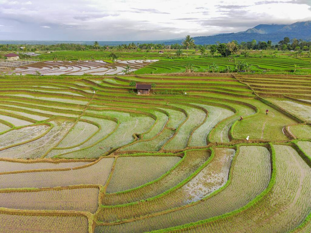 Beautiful morning view indonesia Panorama Landscape paddy fields with beauty color and sky natural light - Fotó, kép