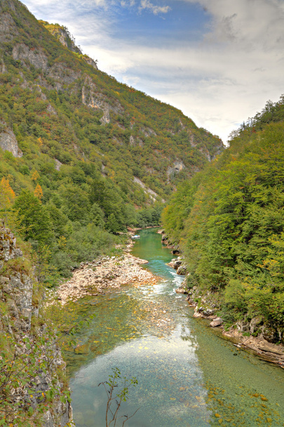 Каньйон річки тара, Чорногорія - Фото, зображення