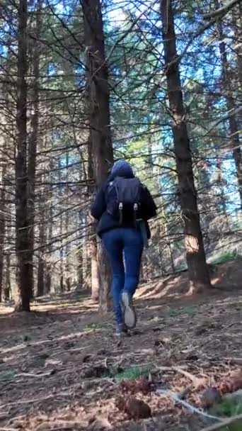 nő túrázó séta ösvényen, természet - Felvétel, videó