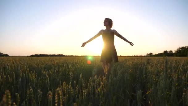 Pretty hippie girl in dress standing on green barley field and raising hands at sunset. Happy punk woman with tattoos enjoying freedom on wheat meadow at summer. Scenic rural landscape at background. - Footage, Video