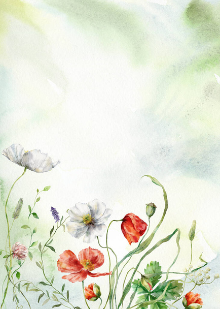 Carta floreale acquerello di fiori di prato, papaveri bianchi e rossi. Illustrazione di fiori dipinti a mano isolata su sfondo bianco. Per design, stampa, tessuto o sfondo - Foto, immagini