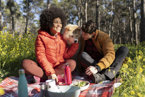 バレンタインデーの森でピクニックで幸せなカップルと犬と - 写真・画像