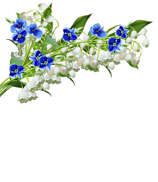 The branch of lilies of the valley flowers isolated on white bac - Zdjęcie, obraz