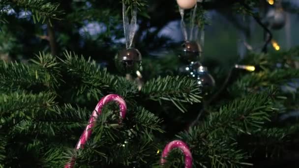 Χριστουγεννιάτικο δέντρο στο σπίτι με μπιχλιμπίδια και καραμέλα ζαχαροκάλαμο μέσο zoom shot αργή κίνηση επιλεκτική εστίαση - Πλάνα, βίντεο