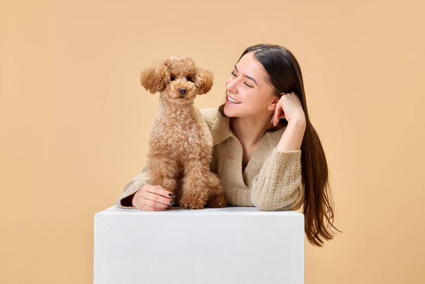 Young and smiling girl, happy owner of little purebred puppy Poodle with kind and playful eyes who sitting on white stage against sandy background. Concept of animal, pet lover, friendship, veterinary - Photo, Image
