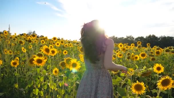 Kamera verfolgt sorglose Frau beim Spazierengehen zwischen blühenden Sonnenblumen. Attraktive Brünette, die bei Sonnenuntergang die Freiheit und die sommerliche Natur genießt. Schöne Landschaft im Hintergrund. Rückseite. - Filmmaterial, Video