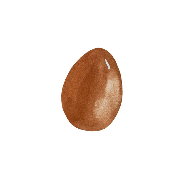 Egg chicken brown sketch. A watercolor illustration. Hand drawn texture. Isolated white background. For to use in design, fabrics, prints, textile, cards, invitations, banners, coupons, vouchers. - Photo, Image