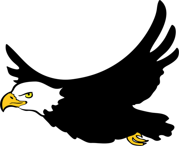 Águia careca voadora - Vetor, Imagem