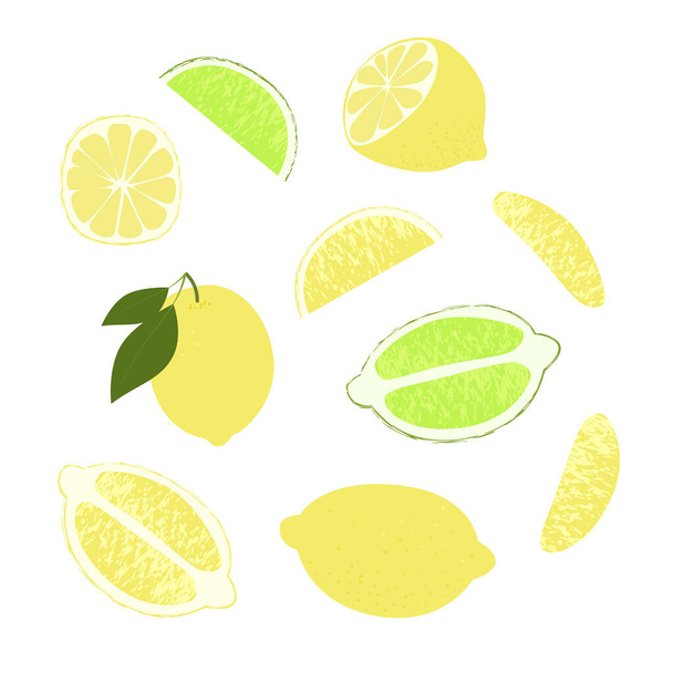 Limon dilimi. Yaz meyveleri desenli. El çizimi organik vektör çizimi - Vektör, Görsel