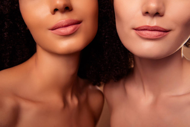 Ritagliato foto di due persone ragazze applicano poamde opaco fare labbra valorizzazione rughe serraggio su sfondo pastello. - Foto, immagini