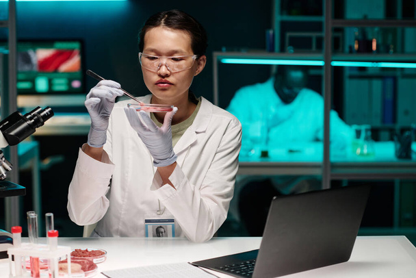 Молодий азіатський дослідник уважно вивчає частинку сирого м'яса під час роботи в лабораторії - Фото, зображення