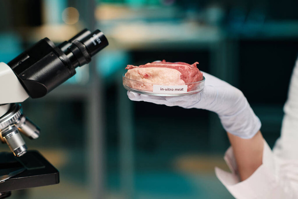 Primo piano della mano dello scienziato che tiene il piatto di Petri con un pezzo di carne - Foto, immagini