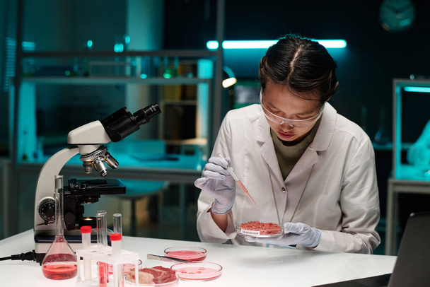 女性科学者が研究室の職場に座っているペトリ皿で地面の肉にピンクの液体をドリッピング - 写真・画像