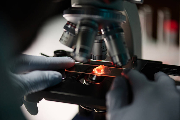Дослідник кладе скляну гірку з шматком м'яса під лінзою мікроскопа для аналізу - Фото, зображення