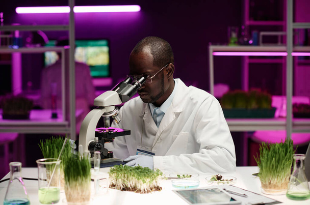 Scienziato nero che lavora con il microscopio e vari campioni di piante alla sua scrivania in laboratorio - Foto, immagini