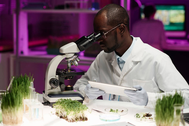 Αφροαμερικανός επιστήμονας κοιτάζοντας μέσα από μικροσκόπιο κρατώντας ψηφιακή ταμπλέτα κάθεται στο γραφείο στο εργαστήριο - Φωτογραφία, εικόνα