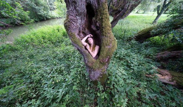 Gorgeous young sexy nature-loving woman is standing happy close to nature in the trunk of an old willow tree, love and happiness in her smile, copy space - Photo, Image