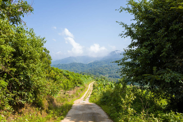 この風景写真は夏にアジア,ベトナム,トンキン,トンキンで撮影されました。 太陽の下の緑の山の真ん中に道が見える. - 写真・画像