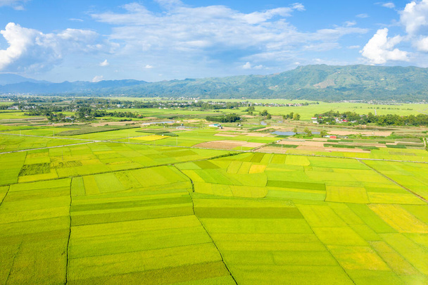 This landscape photo was taken, in Asia, in Vietnam, in Tonkin, in Dien Bien Phu, in summer. We see the traditional villages in the middle of the green and yellow rice fields in the valley, under the Sun. - Photo, Image