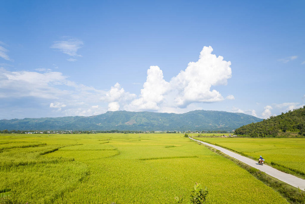 This landscape photo was taken, in Asia, in Vietnam, in Tonkin, in Dien Bien Phu, in summer. We see A dirt road in the middle of green rice fields surrounded by mountains, under the Sun. - Photo, Image
