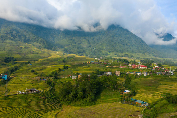Deze landschapsfoto is genomen in Azië, Vietnam, Tonkin, Sapa, richting Lao Cai, in de zomer. We zien de groene en gele rijstterrassen aan de voet van de groene bergen, onder de zon. - Foto, afbeelding