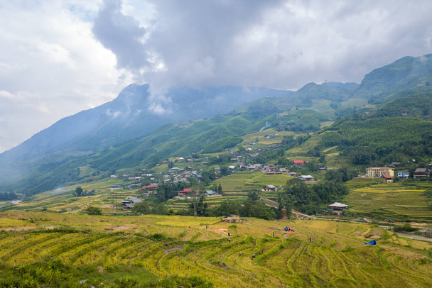 Esta foto de paisaje fue tomada, en Asia, en Vietnam, en Tonkin, en Sapa, hacia Lao Cai, en verano. Vemos las terrazas de arroz verde y amarillo en las verdes montañas tropicales, bajo las nubes. - Foto, imagen