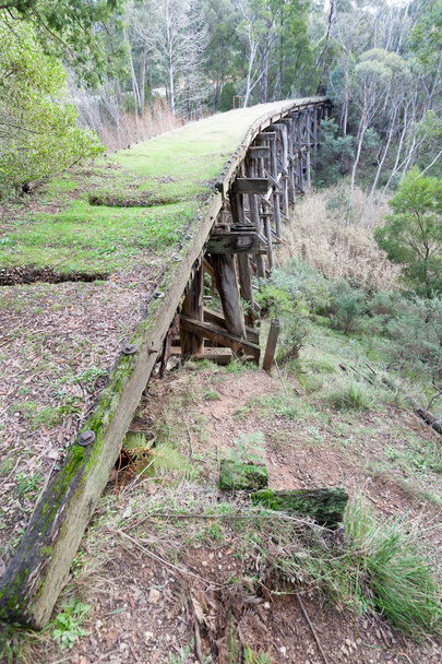 Stoney creek bridge in de buurt van Nowa Nowa - Foto, afbeelding