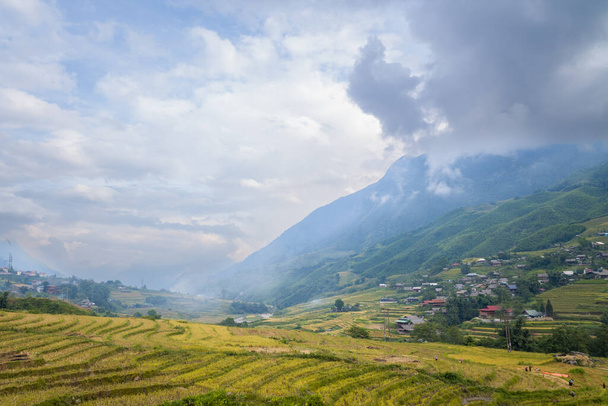 Esta foto de paisaje fue tomada, en Asia, en Vietnam, en Tonkin, en Sapa, hacia Lao Cai, en verano. Vemos las terrazas de arroz verde y amarillo en las verdes montañas tropicales, bajo las nubes. - Foto, imagen