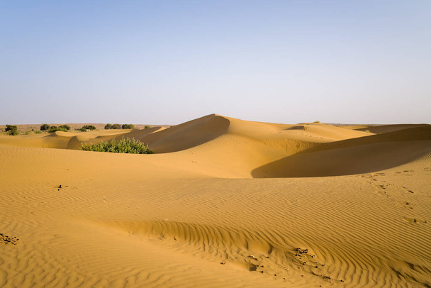 Tämä maisemakuva on otettu Aasiassa, Intiassa, Rajasthanissa, Jaisalmerissa, kesällä. Näemme aavikon auringon alla.. - Valokuva, kuva