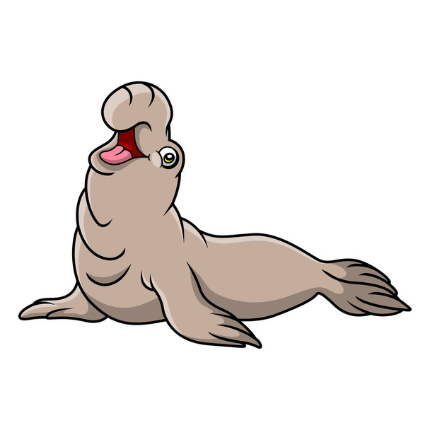 Ilustração vetorial do desenho animado bonito foca elefante touro no fundo branco - Vetor, Imagem