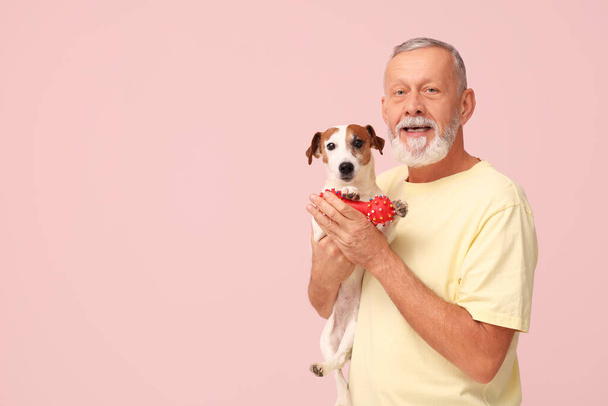 ピンクの背景にかわいい犬とおもちゃを持つシニア男性 - 写真・画像