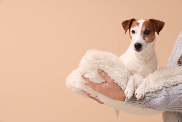 Homem sênior segurando cão bonito no travesseiro contra fundo bege - Foto, Imagem