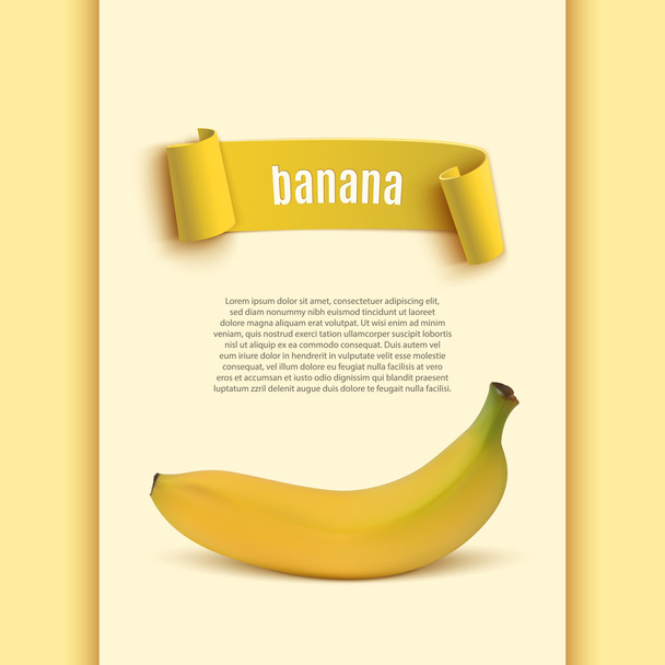 Background with realistic banana. - Vektor, kép