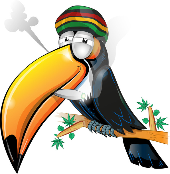 desenho animado tucano jamaicano isolado em branco
 - Vetor, Imagem