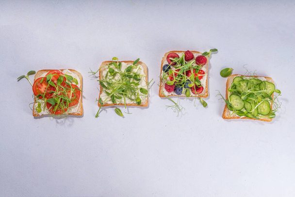 Vegetable and fruit microgreen sandwiches. Homemade toasts sandwiches with tomato, cucumber, berry fruits and a lot of microgreen baby leaves sprouts, white table background copy space - Photo, image
