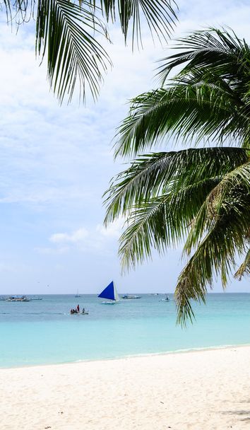 plage solitaire, Boracay
 - Photo, image