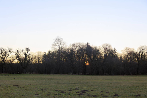 Os raios do sol da manhã nascente brilham através das árvores nos campos e prados de Siebenbrunn, o menor distrito da cidade de Fugger em Augsburgo - Foto, Imagem