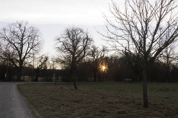 Yükselen sabah güneşinin ışınları ağaçların arasından, Augsburg 'un Fugger şehrinin en küçük bölgesi olan Siebenbrunn' un çayırlarında parlıyor. - Fotoğraf, Görsel