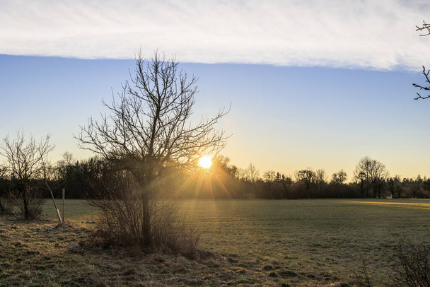 Paprsky vycházejícího ranního slunce prosvítají mezi stromy na polích a loukách Siebenbrunnu, nejmenší čtvrti Fuggerova města Augsburg - Fotografie, Obrázek