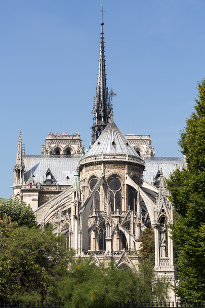 De torenspits en Oost kant van kathedraal Notre Dame de Paris - Foto, afbeelding