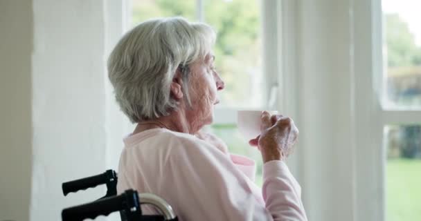 Donna anziana, caffè e sedia a rotelle alla finestra con memoria, idee e visione in pensione. Persona anziana con disabilità, salute mentale e pensare con bevanda, tazza di tè o ricordare in casa di cura. - Filmati, video
