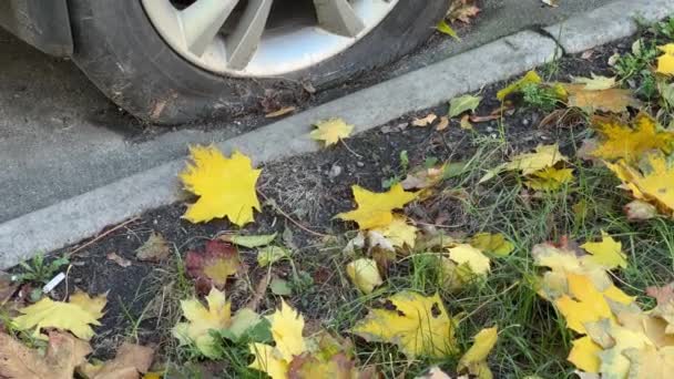 Wiel met lekke band van verlaten auto op asfalt oppervlak - Video