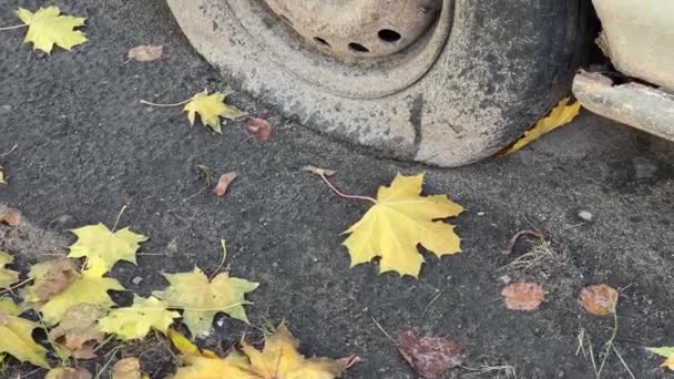 Rueda con neumático pinchado y cuerpo oxidado de coche abandonado - Imágenes, Vídeo