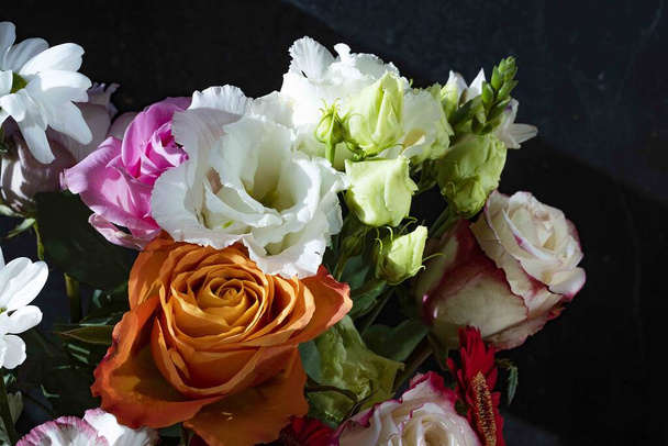 close up of beautiful  flowers, studio shot  - Photo, Image